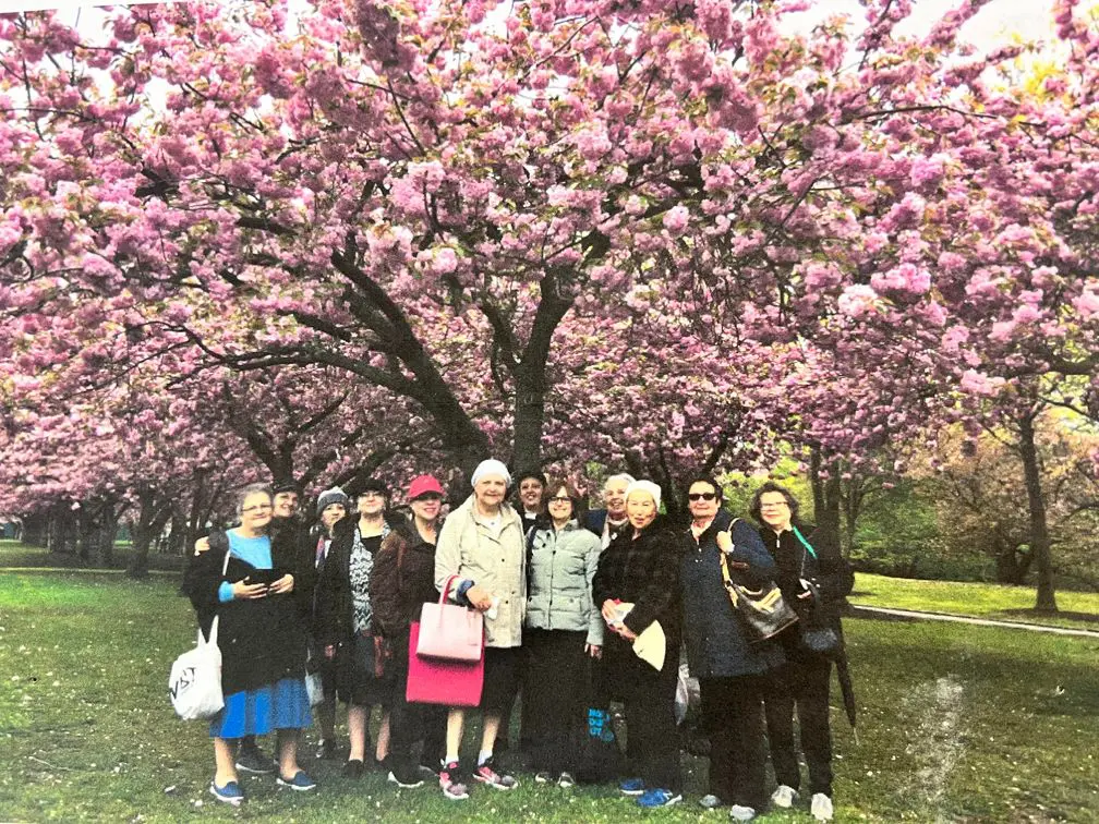 group of seniors standing under a cherry blossom tree